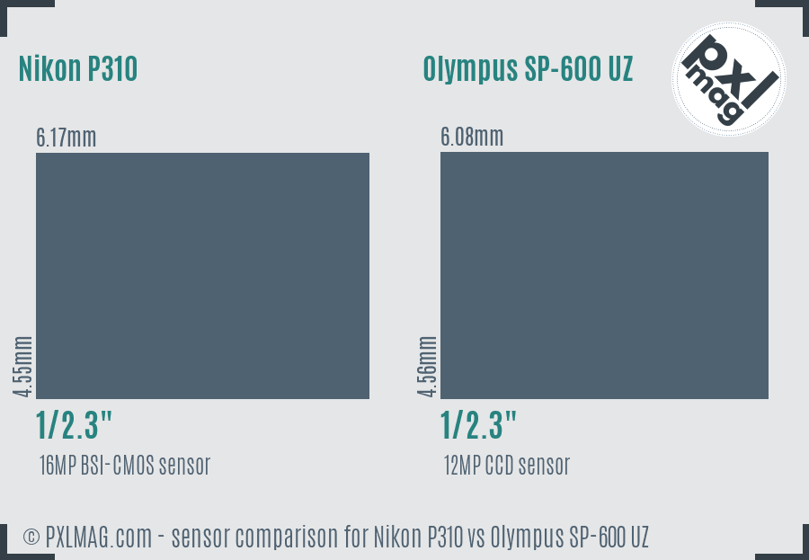 Nikon P310 vs Olympus SP-600 UZ sensor size comparison