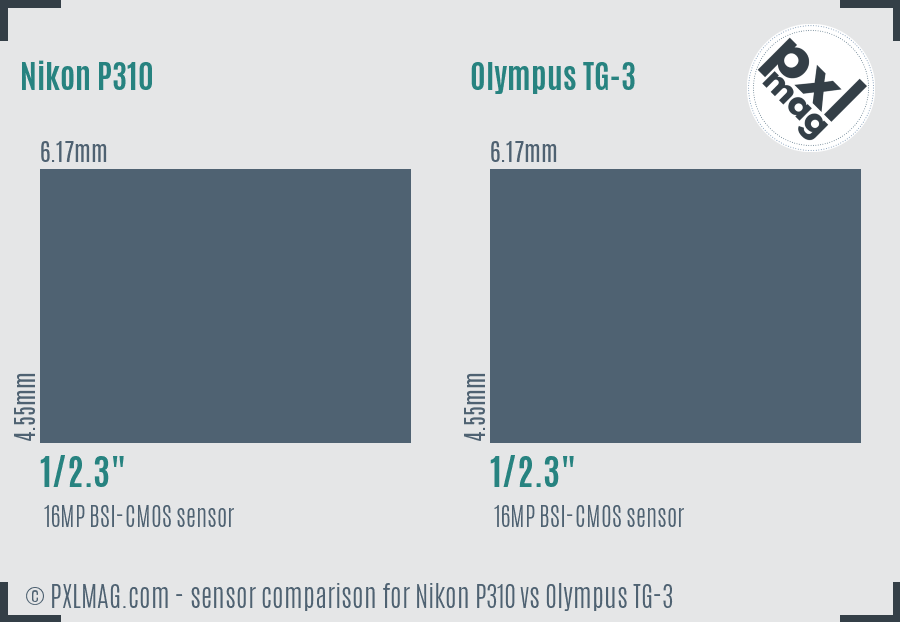 Nikon P310 vs Olympus TG-3 sensor size comparison