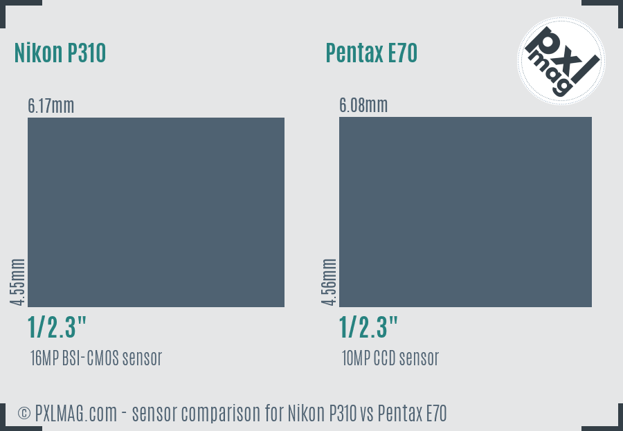 Nikon P310 vs Pentax E70 sensor size comparison