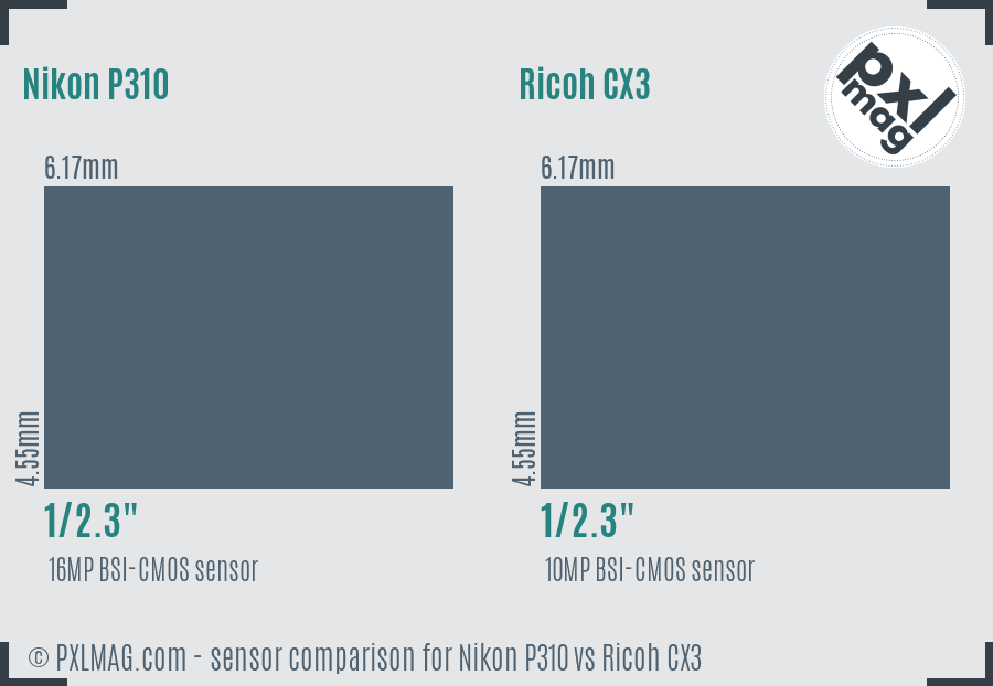 Nikon P310 vs Ricoh CX3 sensor size comparison