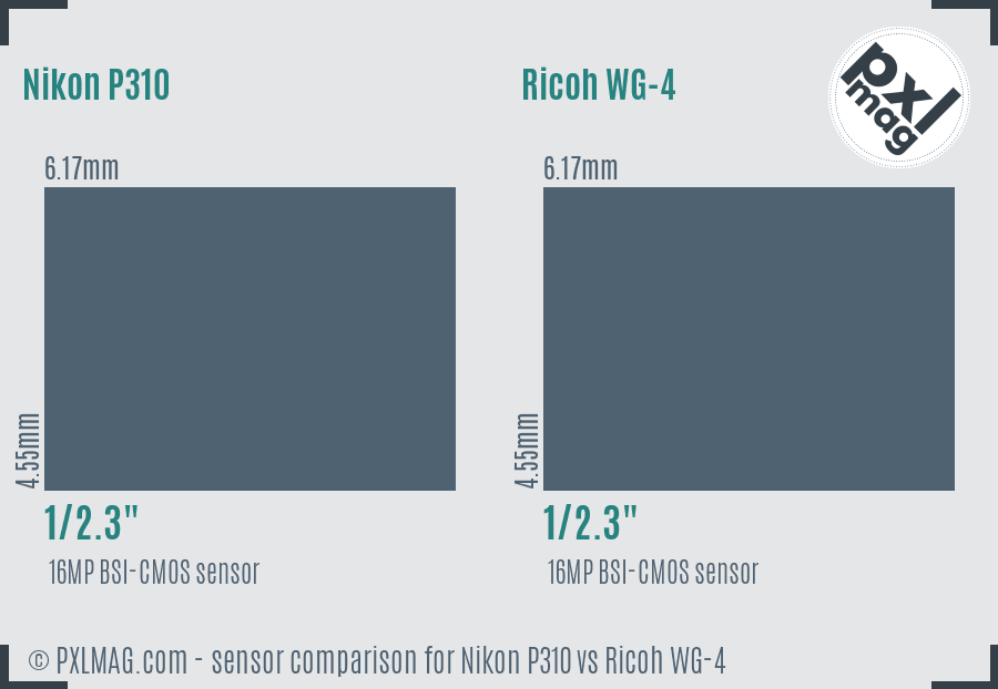 Nikon P310 vs Ricoh WG-4 sensor size comparison