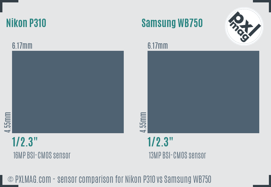 Nikon P310 vs Samsung WB750 sensor size comparison