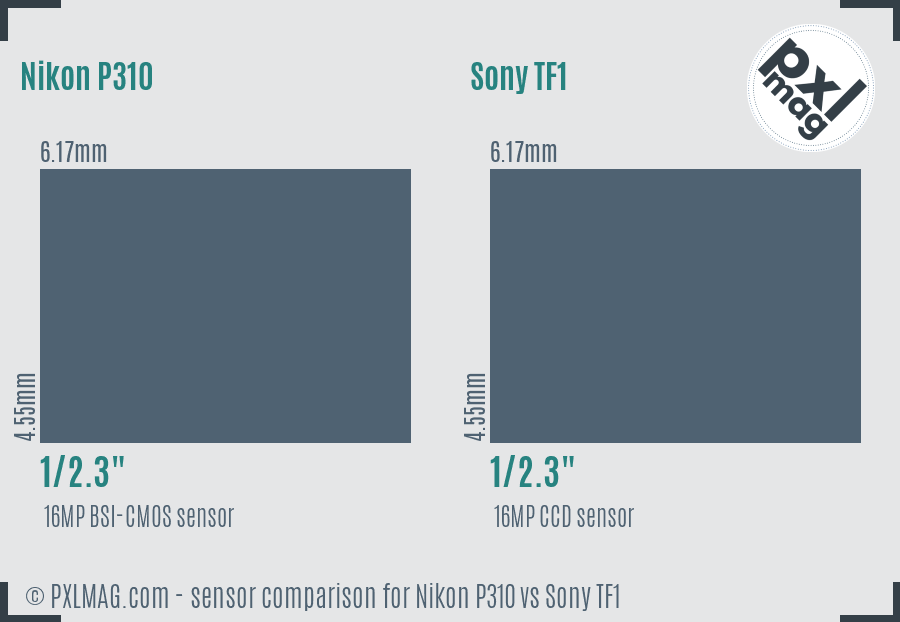 Nikon P310 vs Sony TF1 sensor size comparison Nikon P310 vs Sony TF1 sensor size comparison