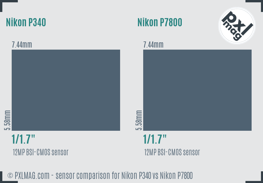 Nikon P340 vs Nikon P7800 sensor size comparison