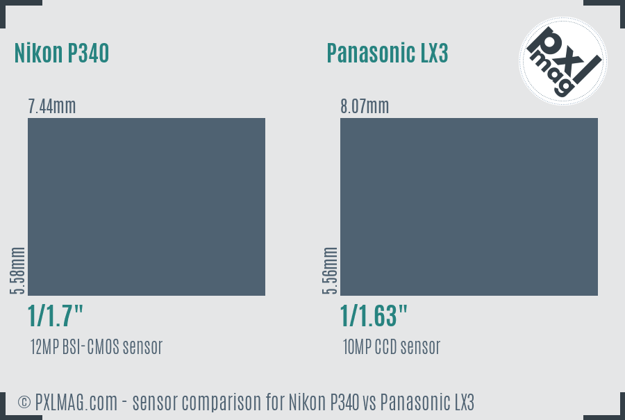 Nikon P340 vs Panasonic LX3 sensor size comparison