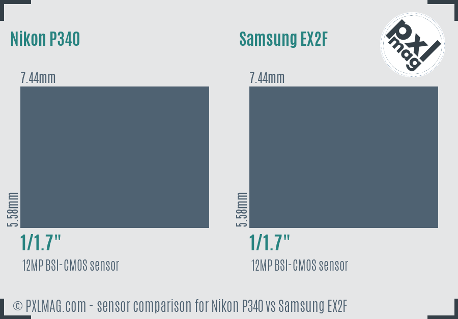 Nikon P340 vs Samsung EX2F sensor size comparison