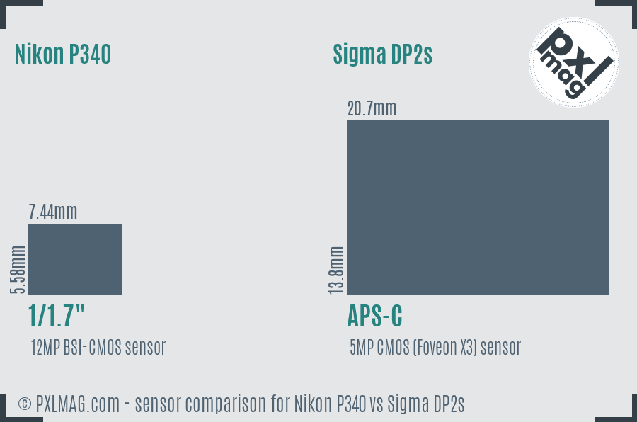 Nikon P340 vs Sigma DP2s sensor size comparison