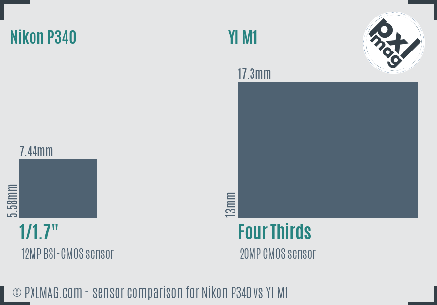 Nikon P340 vs YI M1 sensor size comparison Nikon P340 vs YI M1 sensor size comparison