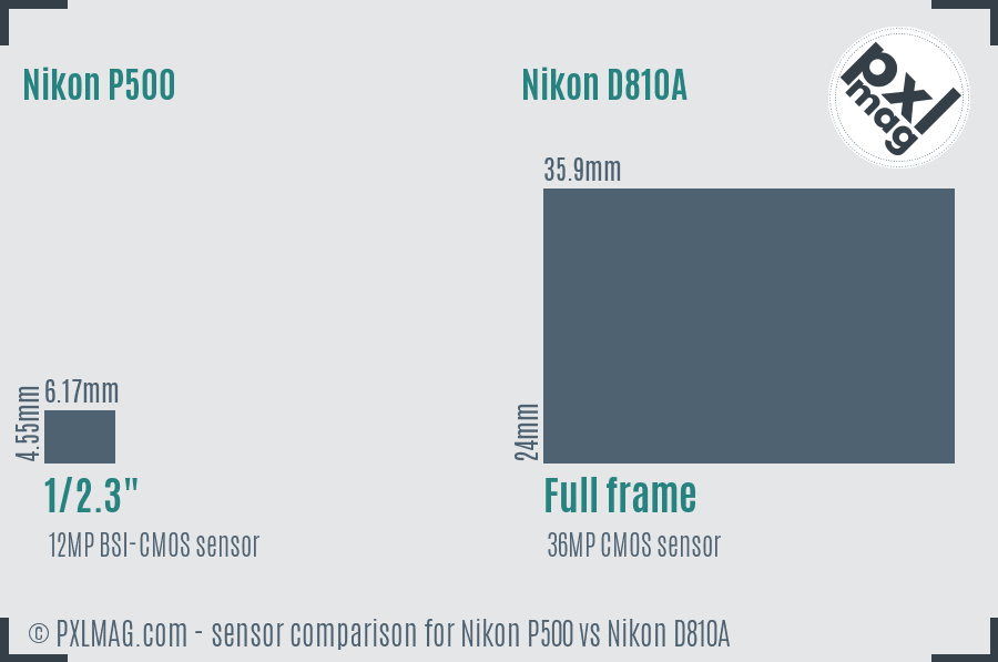 Nikon P500 vs Nikon D810A sensor size comparison