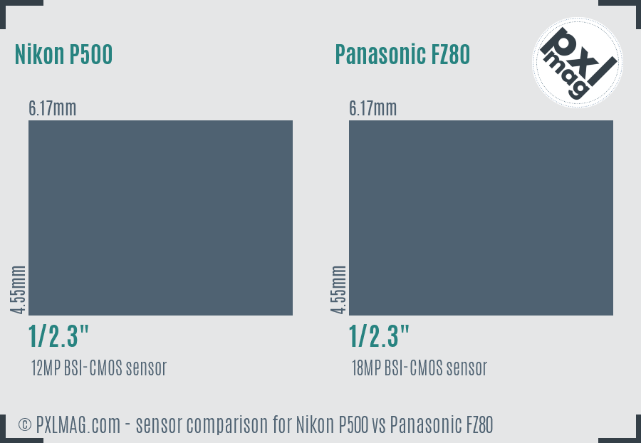Nikon P500 vs Panasonic FZ80 sensor size comparison