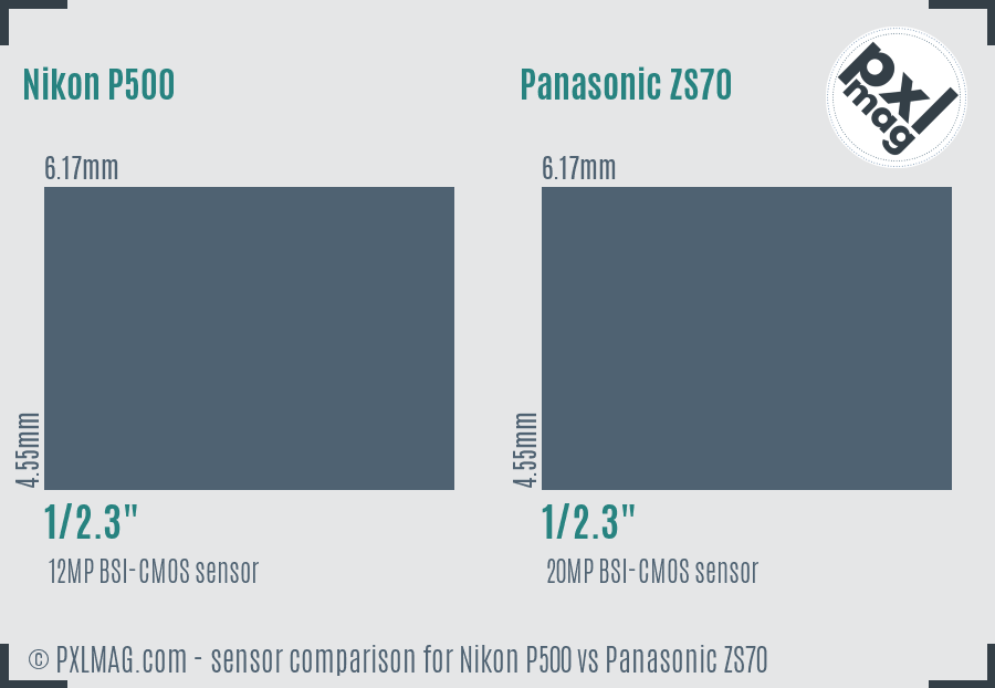 Nikon P500 vs Panasonic ZS70 sensor size comparison