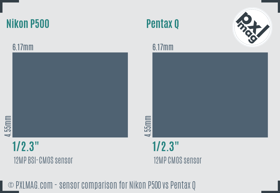 Nikon P500 vs Pentax Q sensor size comparison