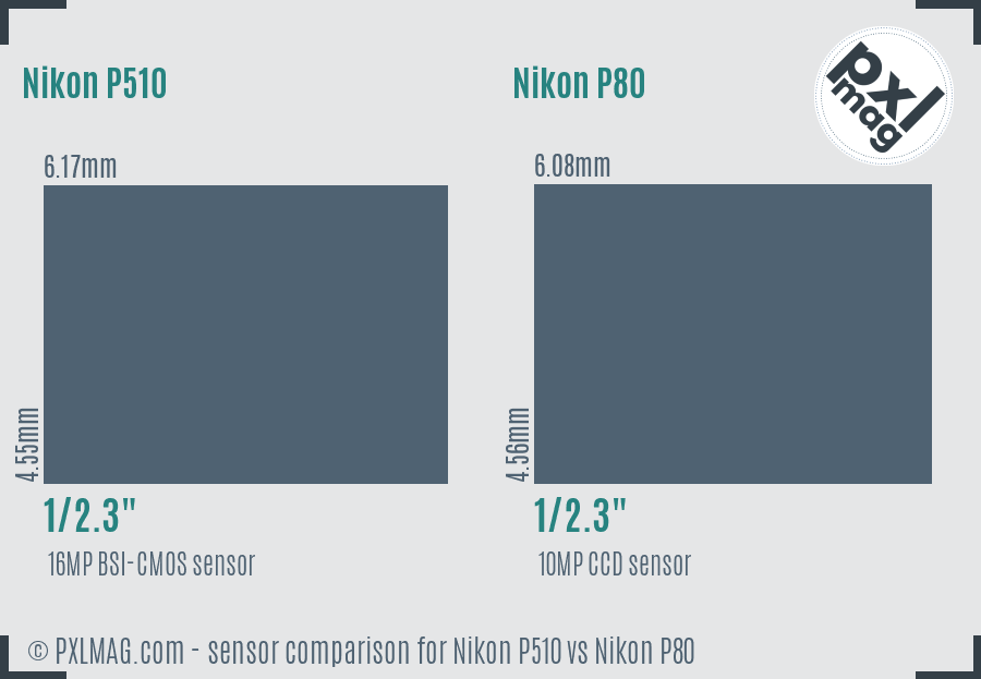 Nikon P510 vs Nikon P80 sensor size comparison
