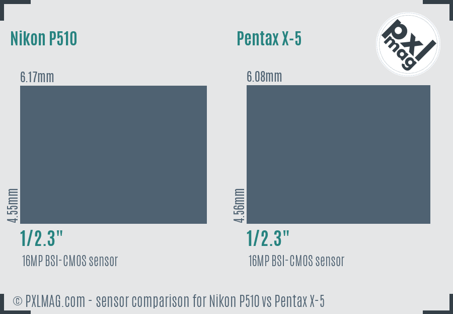 Nikon P510 vs Pentax X-5 sensor size comparison