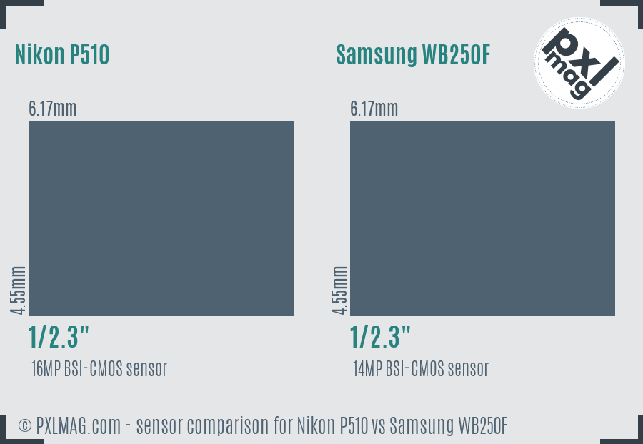 Nikon P510 vs Samsung WB250F sensor size comparison