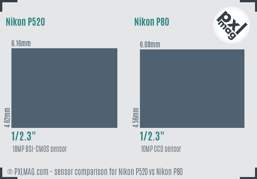 Nikon P520 vs Nikon P80 sensor size comparison