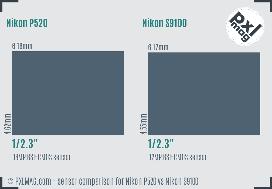 Nikon P520 vs Nikon S9100 sensor size comparison