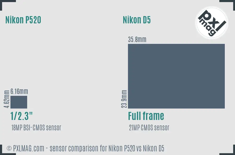 Nikon P520 vs Nikon D5 sensor size comparison