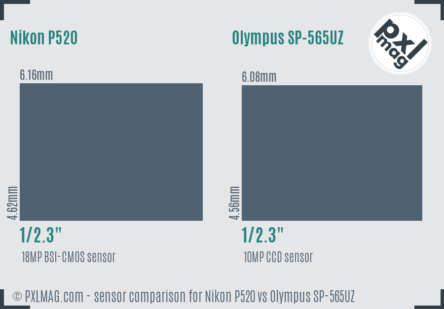 Nikon P520 vs Olympus SP-565UZ sensor size comparison