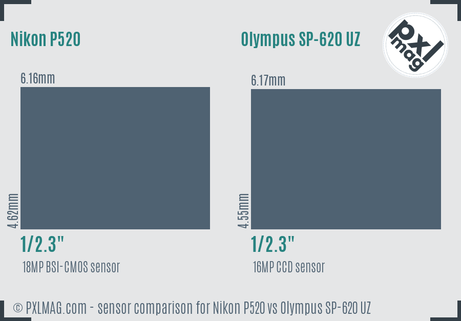 Nikon P520 vs Olympus SP-620 UZ sensor size comparison