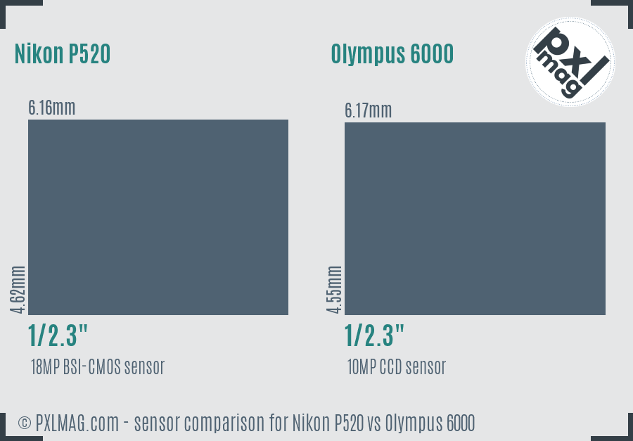 Nikon P520 vs Olympus 6000 sensor size comparison