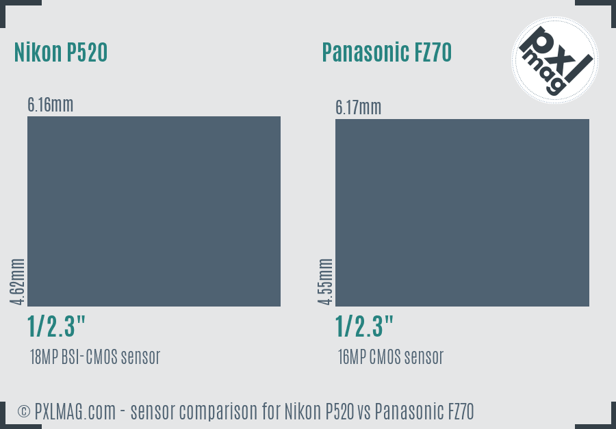 Nikon P520 vs Panasonic FZ70 sensor size comparison