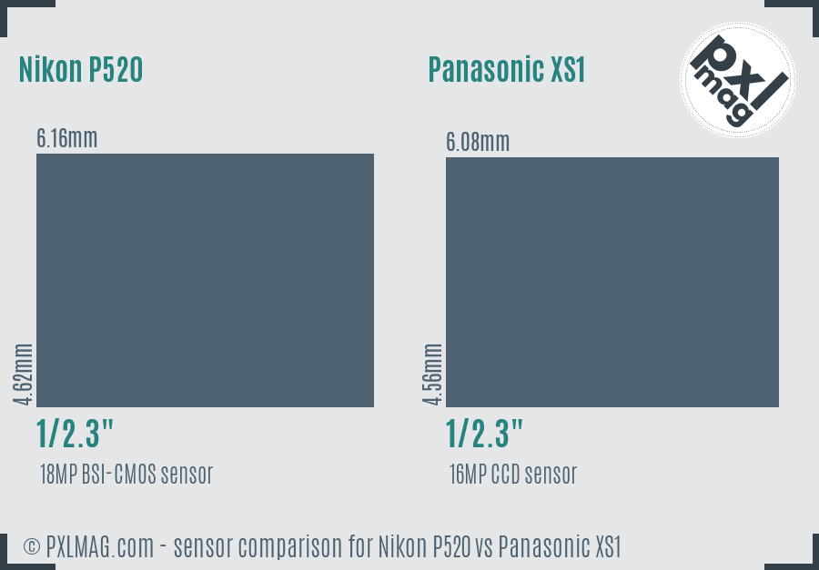 Nikon P520 vs Panasonic XS1 sensor size comparison