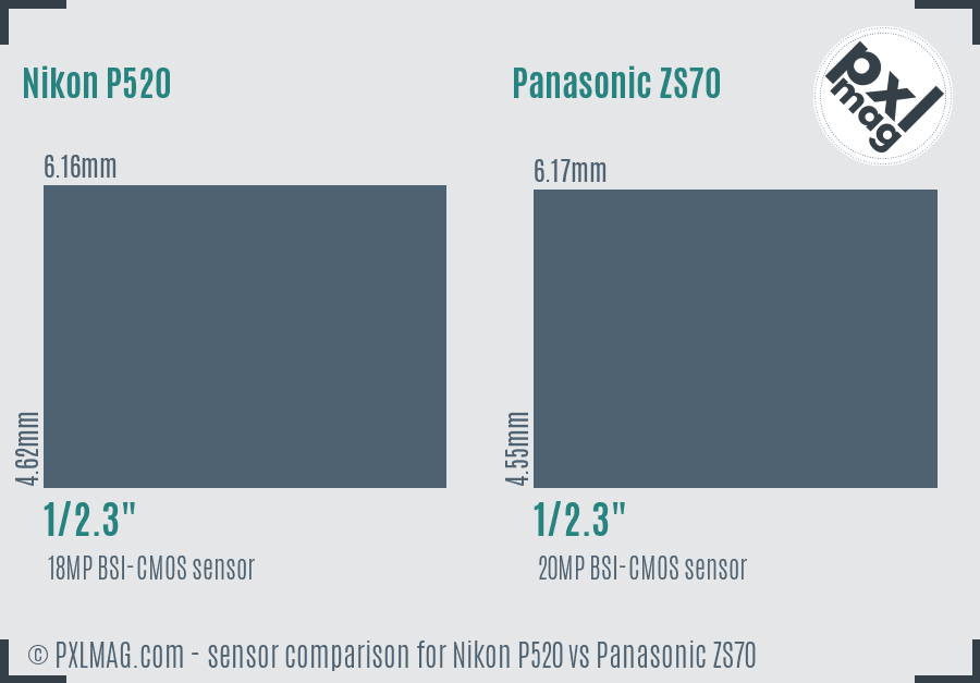 Nikon P520 vs Panasonic ZS70 sensor size comparison