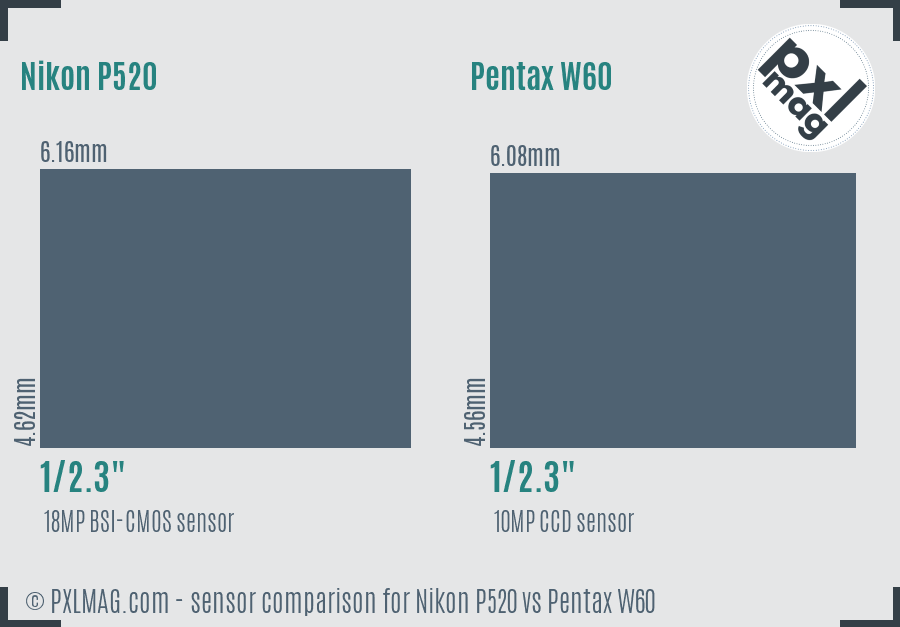Nikon P520 vs Pentax W60 sensor size comparison
