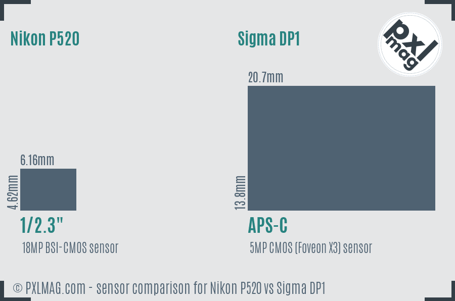 Nikon P520 vs Sigma DP1 sensor size comparison Nikon P520 vs Sigma DP1 sensor size comparison