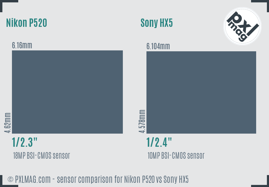 Nikon P520 vs Sony HX5 sensor size comparison