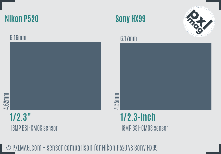 Nikon P520 vs Sony HX99 sensor size comparison