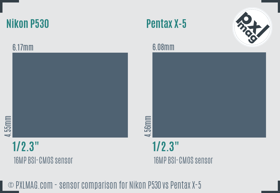 Nikon P530 vs Pentax X-5 sensor size comparison