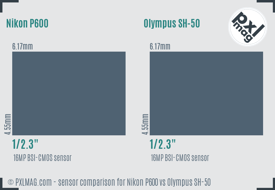 Nikon P600 vs Olympus SH-50 sensor size comparison