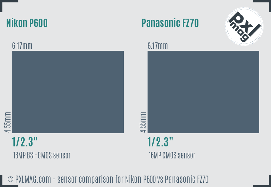 Nikon P600 vs Panasonic FZ70 sensor size comparison