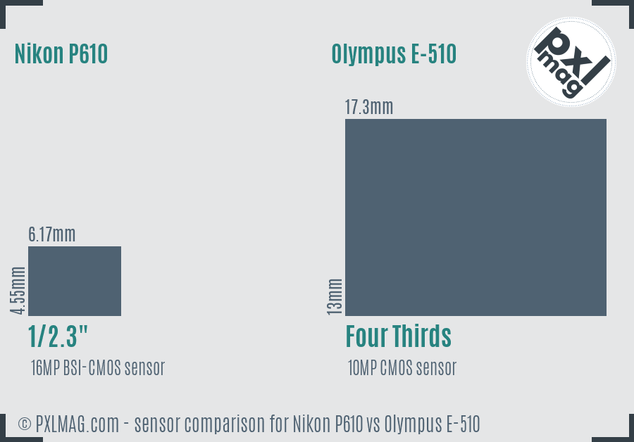 Nikon P610 vs Olympus E-510 sensor size comparison