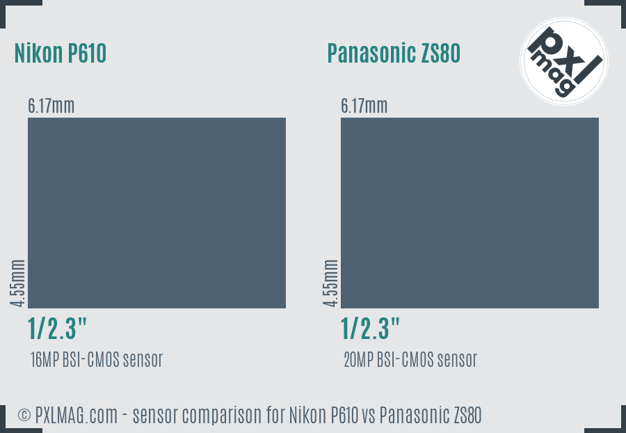 Nikon P610 vs Panasonic ZS80 sensor size comparison