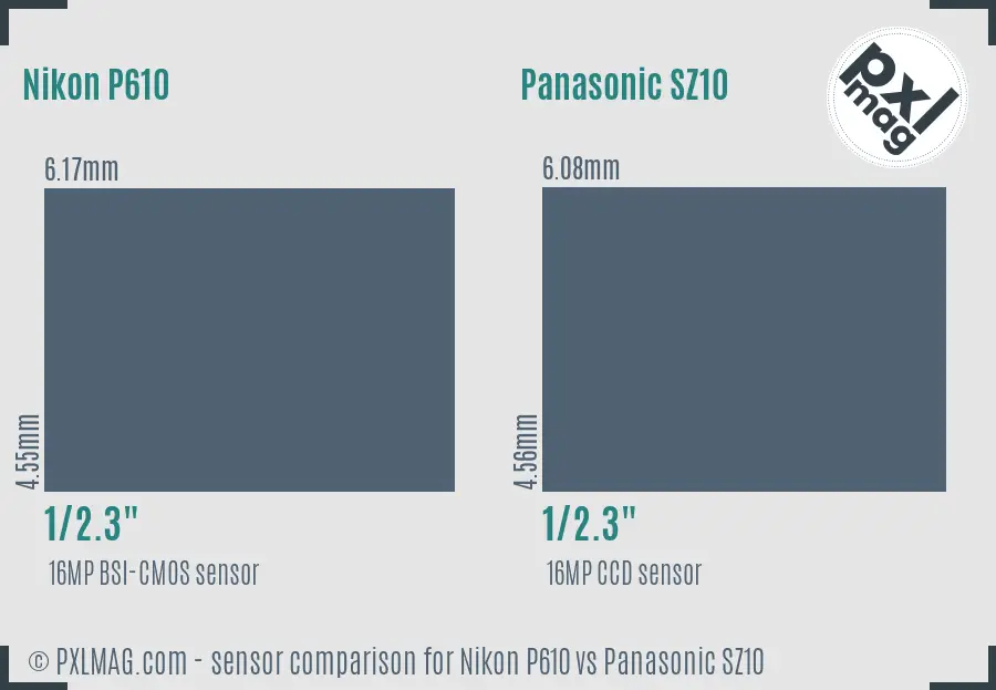 Nikon P610 vs Panasonic SZ10 sensor size comparison