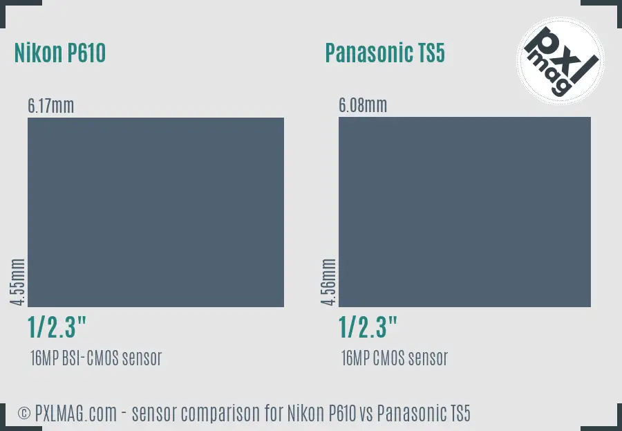 Nikon P610 vs Panasonic TS5 sensor size comparison