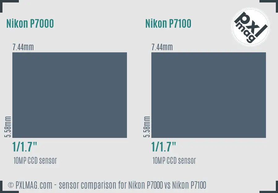 Nikon P7000 vs Nikon P7100 sensor size comparison
