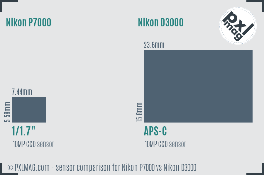 Nikon P7000 vs Nikon D3000 sensor size comparison
