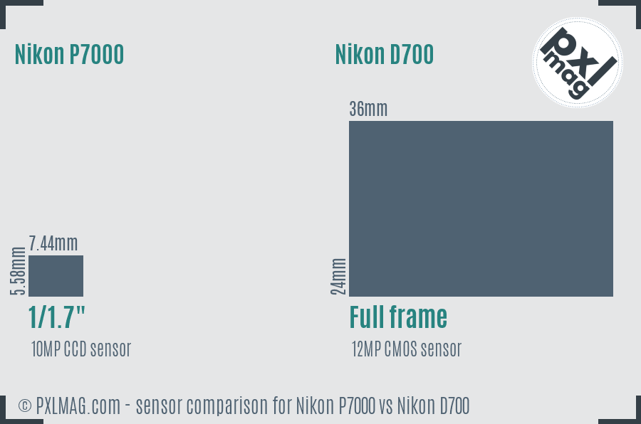 Nikon P7000 vs Nikon D700 sensor size comparison