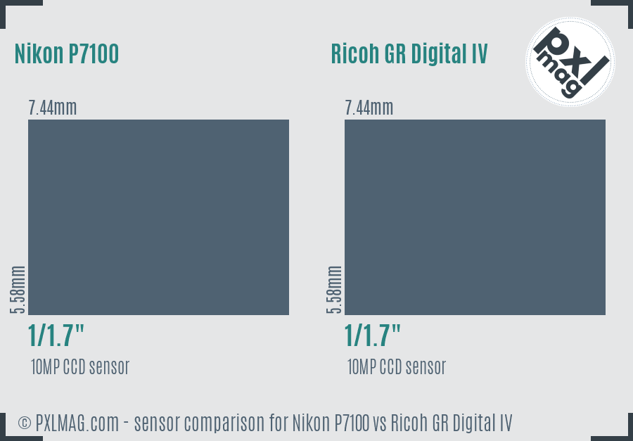 Nikon P7100 vs Ricoh GR Digital IV sensor size comparison