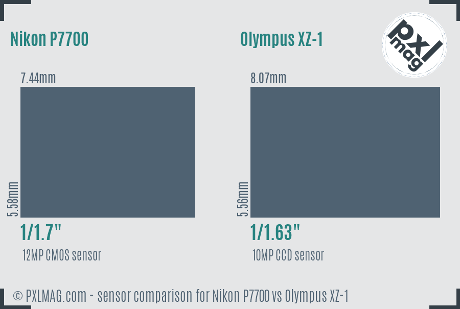 Nikon P7700 vs Olympus XZ-1 sensor size comparison