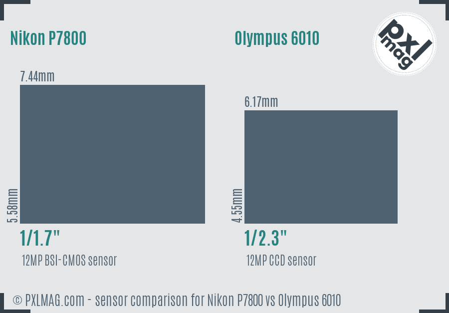 Nikon P7800 vs Olympus 6010 sensor size comparison Nikon P7800 vs Olympus 6010 sensor size comparison