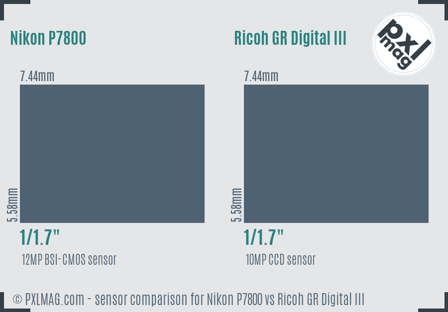 Nikon P7800 vs Ricoh GR Digital III sensor size comparison