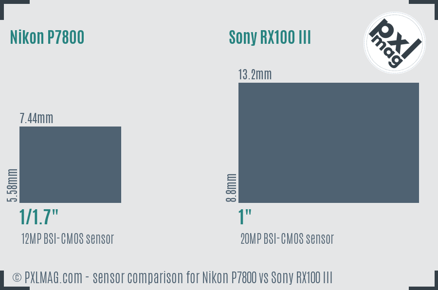 Nikon P7800 vs Sony RX100 III sensor size comparison