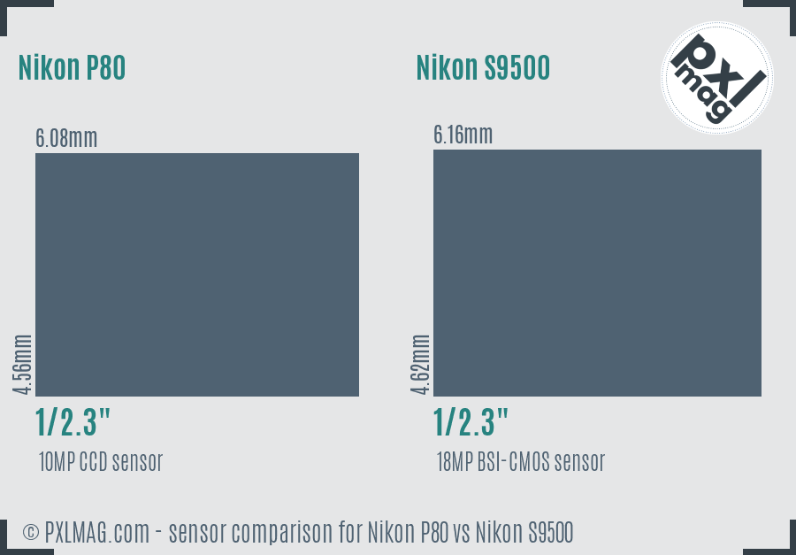 Nikon P80 vs Nikon S9500 sensor size comparison