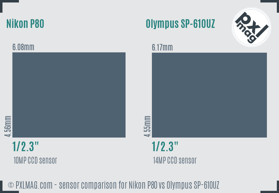 Nikon P80 vs Olympus SP-610UZ sensor size comparison