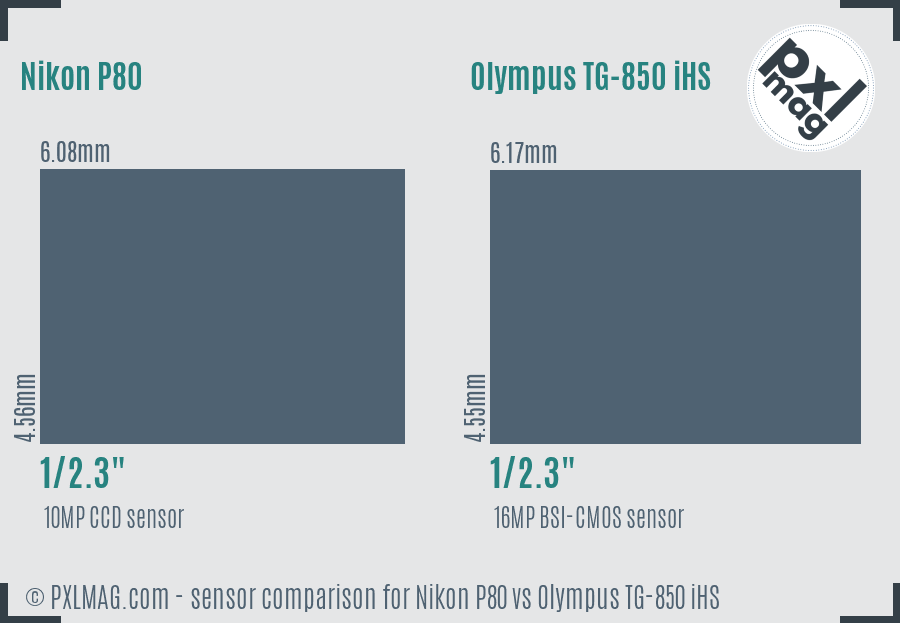 Nikon P80 vs Olympus TG-850 iHS sensor size comparison